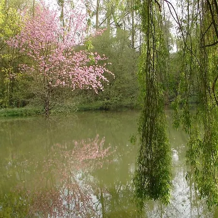 Les Bambous, Avec Piscine, Tennis Et Privatif