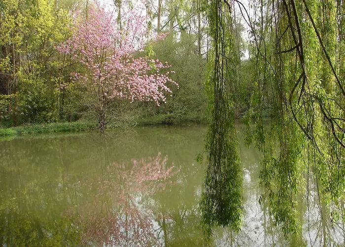 Les Bambous, Avec Piscine, Tennis Et Privatif